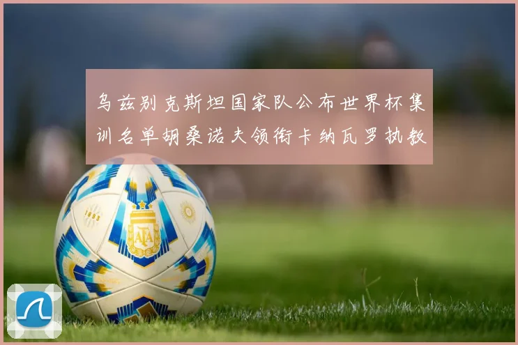 乌兹别克斯坦国家队公布世界杯集训名单胡桑诺夫领衔卡纳瓦罗执教