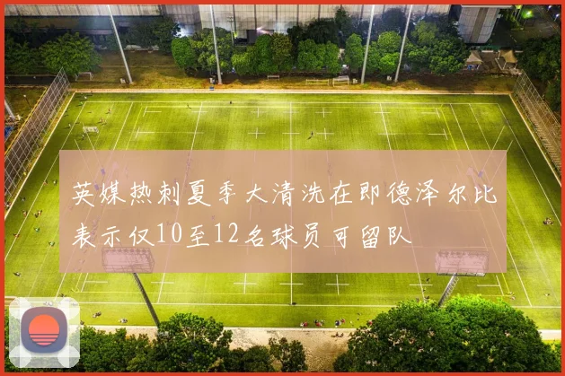 英媒热刺夏季大清洗在即德泽尔比表示仅10至12名球员可留队