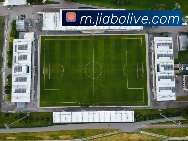 电讯报揭秘塞梅尼奥成长历程伯恩茅斯成功截胡水晶宫签约他